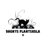 Dagnys Plantskola